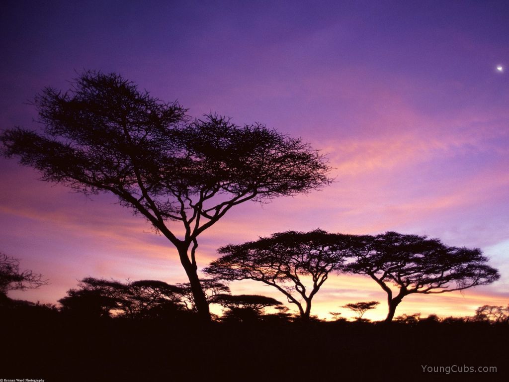 Sunset Colors, Tanzania, Africa